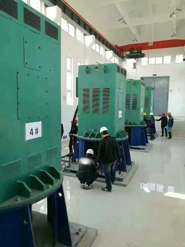 Z4-450-31某污水处理厂使用我厂的立式高压电机安装现场